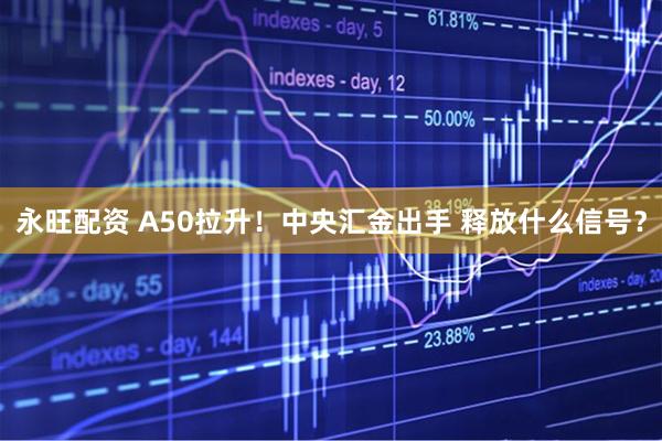 永旺配资 A50拉升！中央汇金出手 释放什么信号？