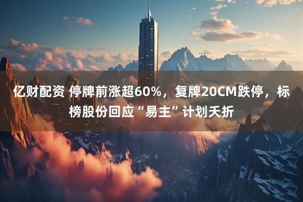 亿财配资 停牌前涨超60%,复牌20CM跌停,标榜股份回应“易主”计划夭折