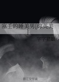 傻儿传奇之抗战到底电视剧