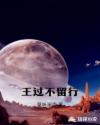 张继科退役了吗