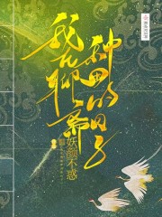 高清视频一区