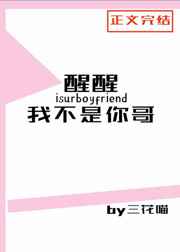 女友小叶完整目录