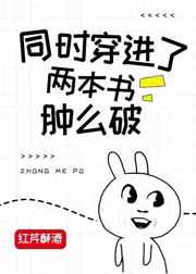 顽烈小说