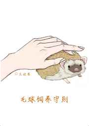 律师凶猛