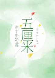 xl公司