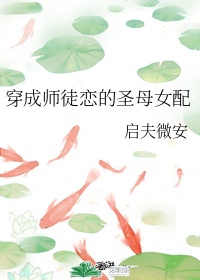 www.com.av