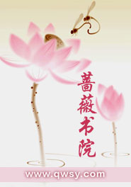 追凶王宝强