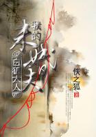 乱云飞渡小说