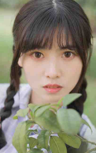 李尽欢小说