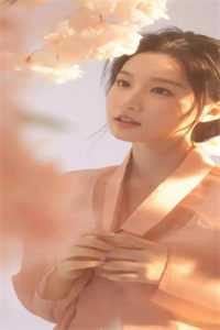 大夏王侯 小说