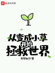 女人脱衣服视频