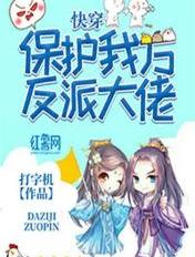 口袋忍者