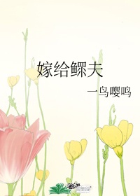 飞上别人的床歌曲