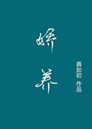 异性恋爱博士