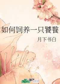 《内衣办公室》高清全集在线观看