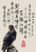 狂野的觉醒