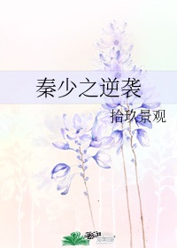 风流管家高清播放