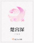 与龙同行