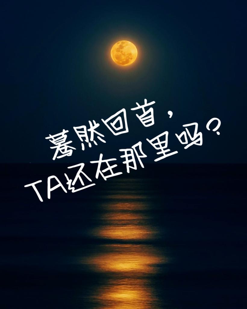 做到饭糊sana