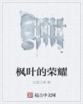 惹上黑暗帝王第一女盗完结