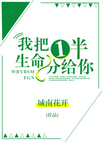 我曾为你半生流离