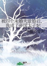穿成民国大佬的姨太太