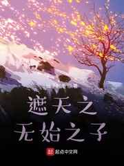 帕拉狗骑士