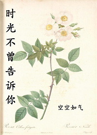 儿女成双福满堂全文免费阅读