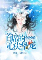 明星艳史系列录赵丽颖