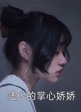 男孩子夜里需要的片子