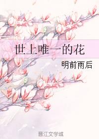 bt天堂