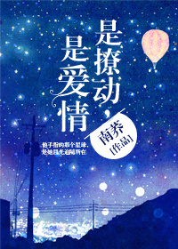 平地机设备司机