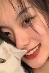 午夜后宫