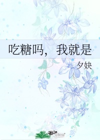 如懿传哪里能看