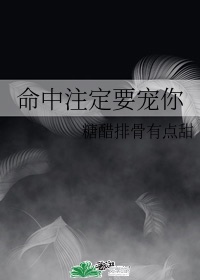 美女的隐私免费网站