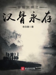 无限动漫录txt下载