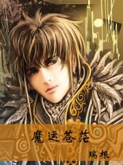 新编三宝局长1一10部未删减版