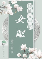 公主np