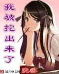 摇摆夏夜