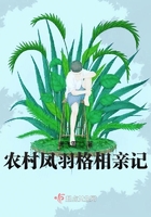 极品电工小说免费阅读