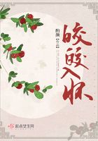 六九式