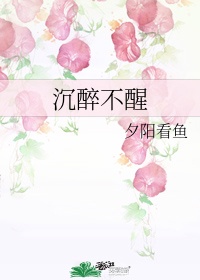皮皮直播