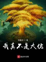言情小说网站