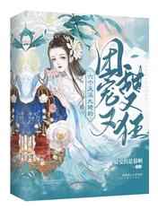 瓷都网
