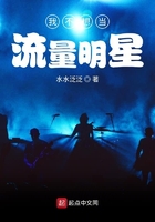 十二大美女歌曲视频