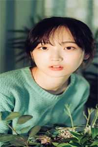 上门女婿在线观看完整版免费