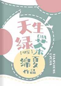 《升迁之路之非常秘书》小说