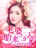 娇妻在美国沉沦蓉蓉小说
