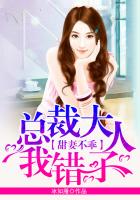 讽刺小说