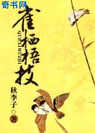 极限武尊
